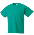 Quality Tee Shirt Adults:-